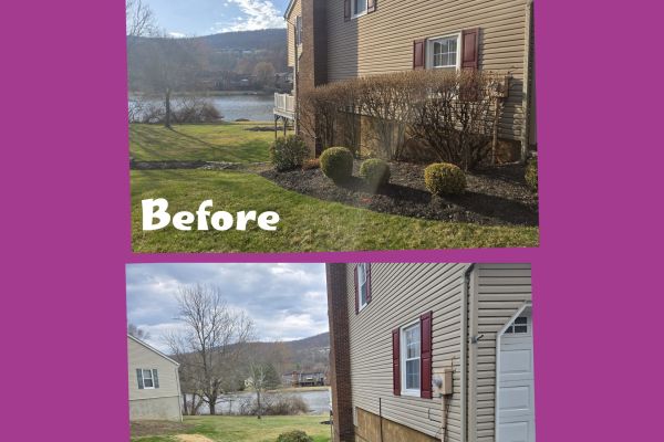 before-and-after-landscaping5288973A-AA48-9E40-CC57-B4F95AC8985C.jpg
