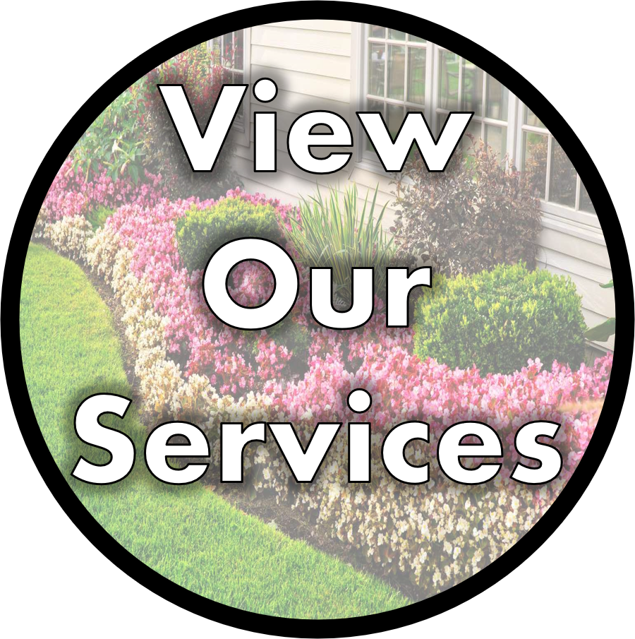 solano lawn view our services button